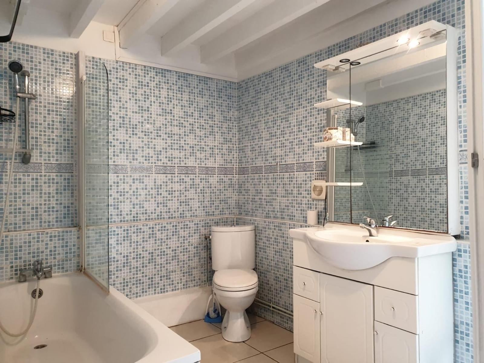 Maison 150M2 Jardin A Louer En Entier, Bordeaux Centre Chartrons, 3 Chambres 3 Salles De Bains 1 Canape-Lit Llllnumero De Telephone Dans L'Annonce Si Questionlll エクステリア 写真